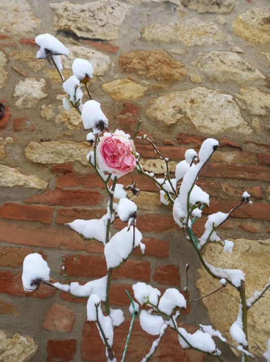 Agriturismo Ardene Villa Montepulciano Stazione Eksteriør billede